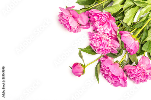 Fragrant pink peonies bouquet isolated on white background. Summer card, seasonal design, festive concept
