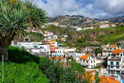 Madeira. Camara de Lobos. Small fisherman village, popular tourist destination. Madeira is known as the island of eternal spring. Madeira Island, Portugal. photo