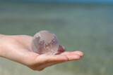 沖縄の海岸でガラスの地球を持つ子供の手