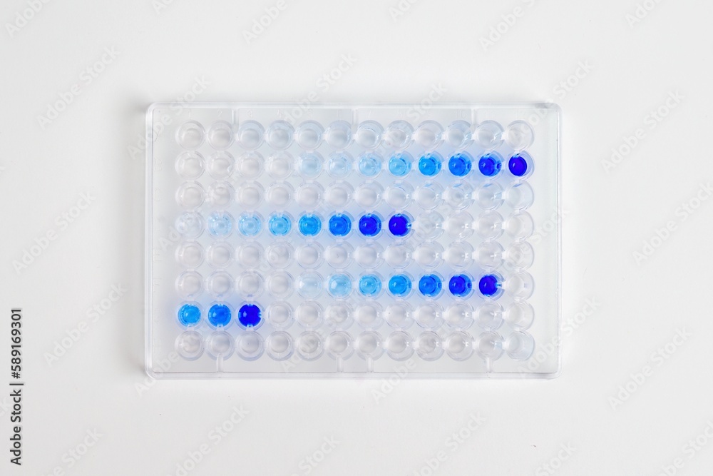 Samples in the lab Samples in the lab