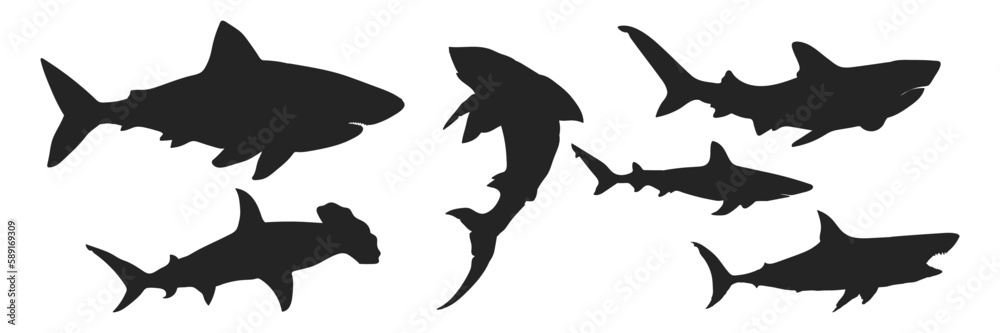 Obraz premium Sea animals. Sharks collection. Vector illustration on a white background.