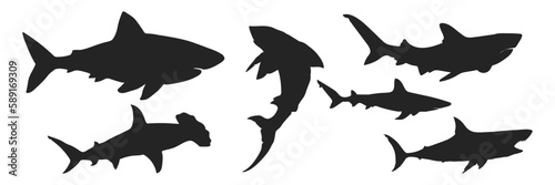 Sea animals. Sharks collection. Vector illustration on a white background.