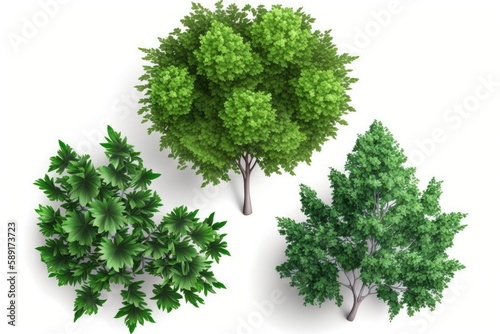 Green trees isolated on white background