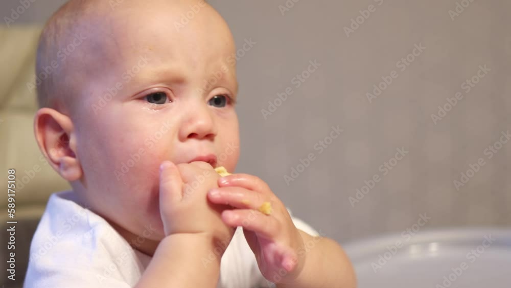 close-up child kid feed learning chew apple piece, hard to hold in hands roll over. cute funny face toddler baby white clothes sit high chair kitchen home. eating first hard food. healthy lifestyle close-up child kid feed learning chew apple piece, hard to hold in hands roll over. cute funny face toddler baby white clothes sit high chair kitchen home. eating first hard food. healthy lifestyle