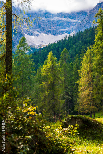 Val Fiscalina. Frame of the Sesto Dolomites.