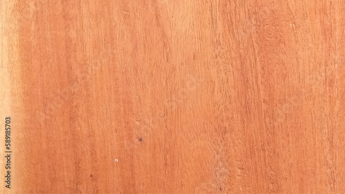 Texture of wood background closeup. Vector design