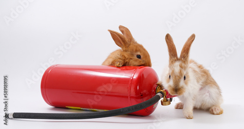 MES day. rabbit fire extinguisher on white background
