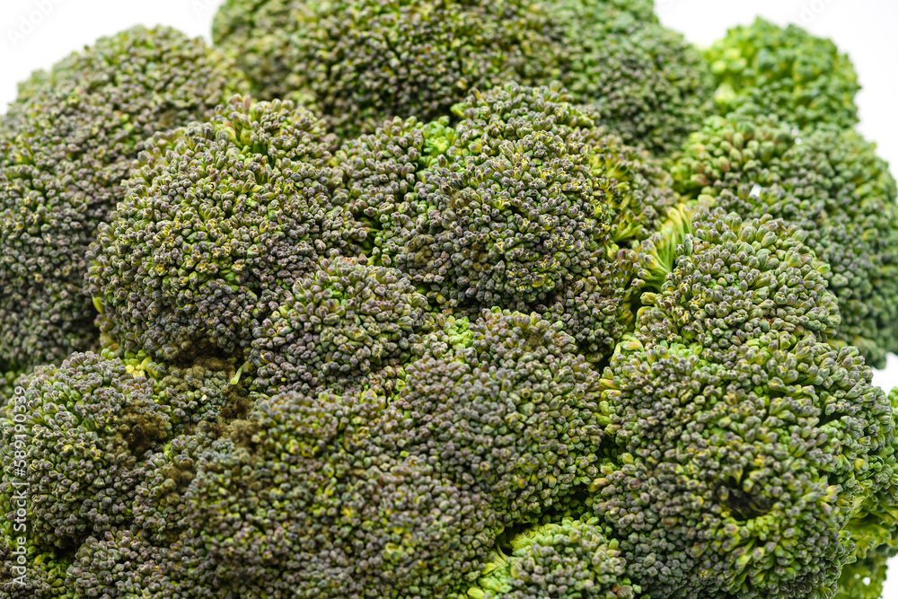 Head of fresh broccoli on a white background.