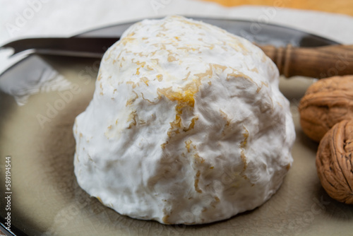 Cheese collection, soft cow French cheese with mold Gaperon artisanal lavored with cracked peppercorns and garlic produced in Auvergne photo