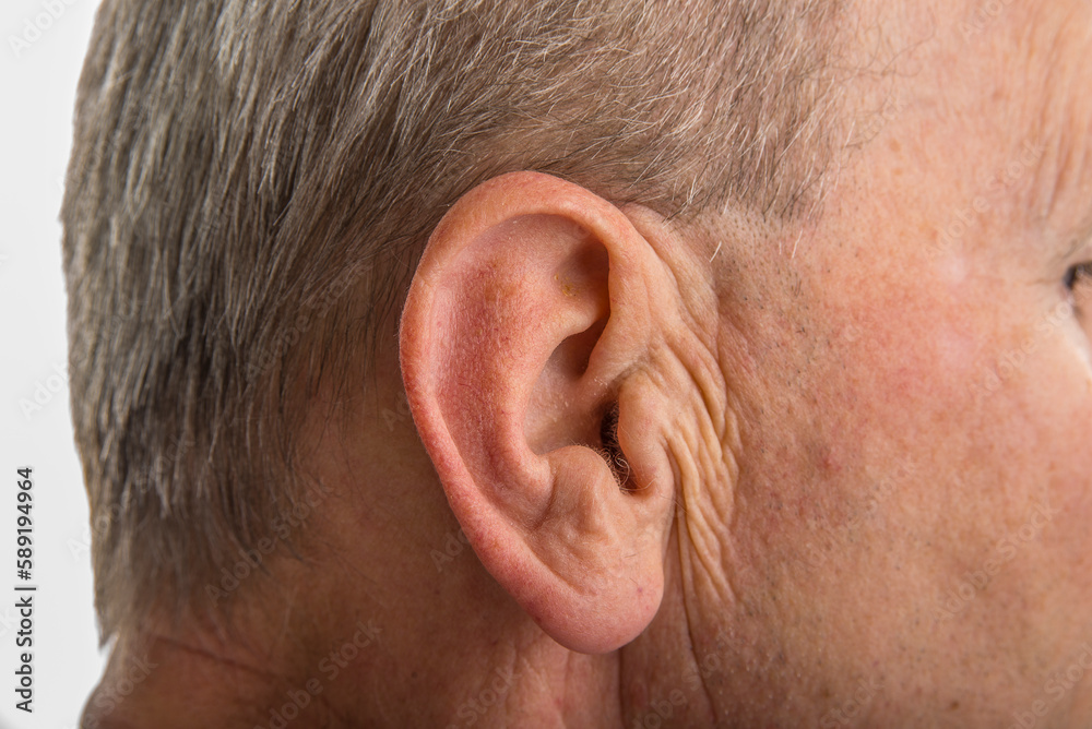 Obraz premium Ear of 65 year old male and gray hair
