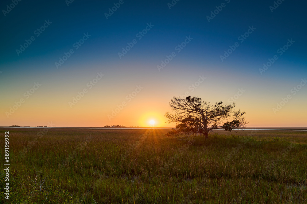 Fototapeta premium Sunset over marsh grass near hunting island state park in south carolina.