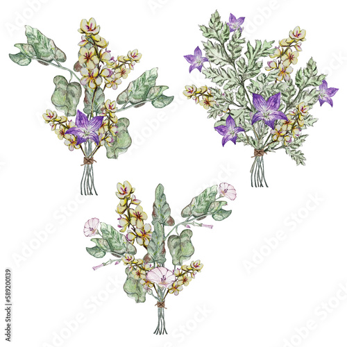 Set of three summer bouquets of wild flowers. Mullein, bindweed, bluebell flower, clover, chamomile, korostavnik, cornflower. Watercolor illustrations. photo