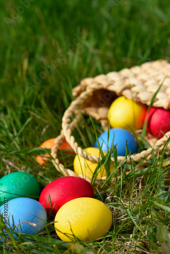 Basket with colored Easter eggs rolled out in the fresh spring grass with yellow flowers. Festive concept. Copy space. © TetiBond