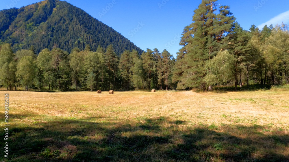 Obraz premium mountain landscape, shot of Arkhyz mountains at fall with blue sky - photo of nature