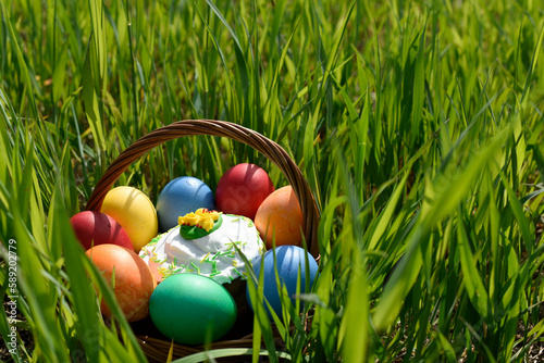 Basket with colored Easter eggs in the fresh spring grass with yellow flowers.Spring festive concept with copy space.