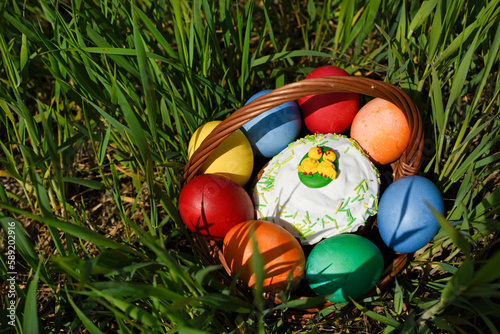 Basket with colored Easter eggs in the fresh spring grass with yellow flowers.Spring festive concept with copy space.
