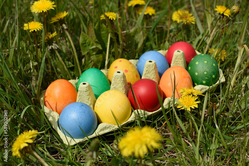 6 Multi colors painted easter eggs in the eggs tray on the fresh spring grass.Traditional Easter egg hunt.Easter symbol