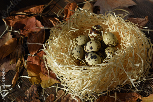 Easter eggs in the nest on rustic natural background of dried leaves. Quail eggs. Easter symbol. Festive decoration.