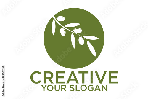 icon olive oil branch logo design