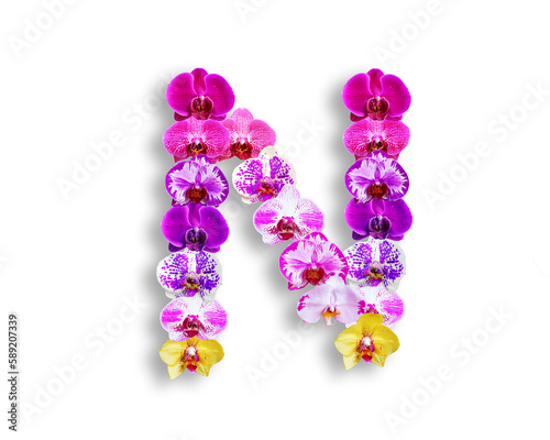 N shape made of various kinds of orchid flowers