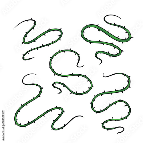 Sharp liana vines. Jungle thorn branch. Forest twisted tropical wood. Collection of Natural decorative illustration isolated on white.