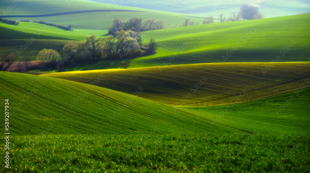 Golden Springtime in South Moravia: A Captivating Landscape Awash with Warmth and Light