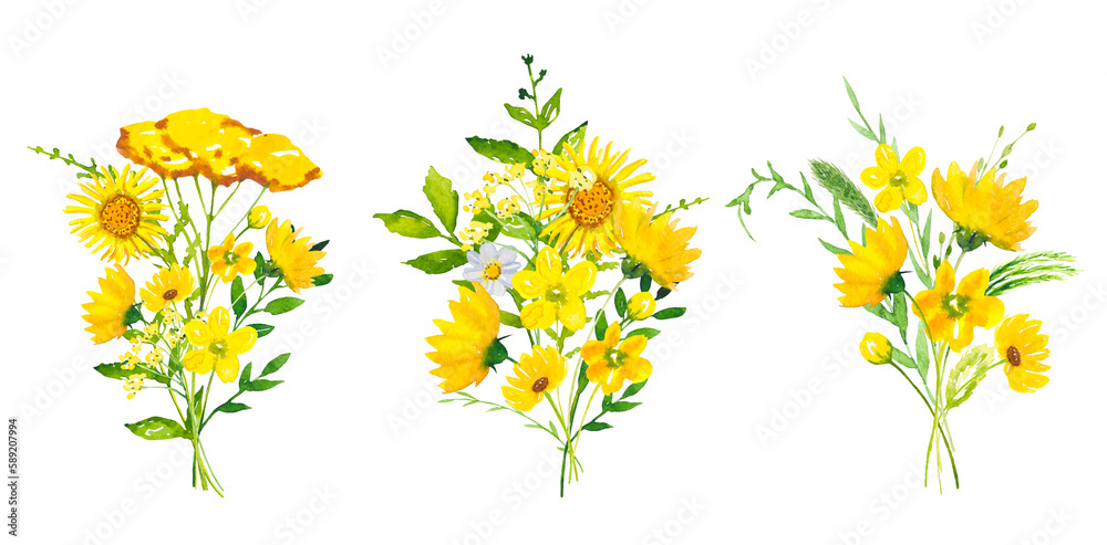Set of bouquets with meadow yellow flowers and leaves. Watercolor floral illustration