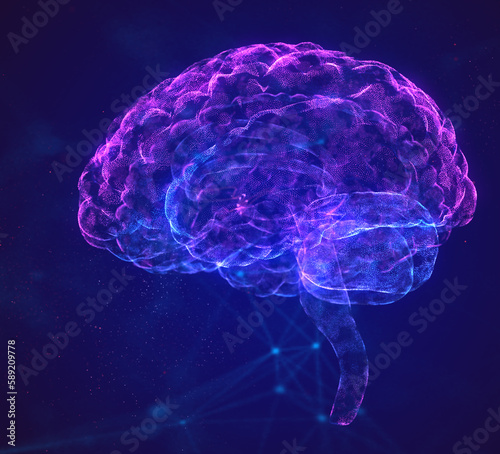 фотографія Brain