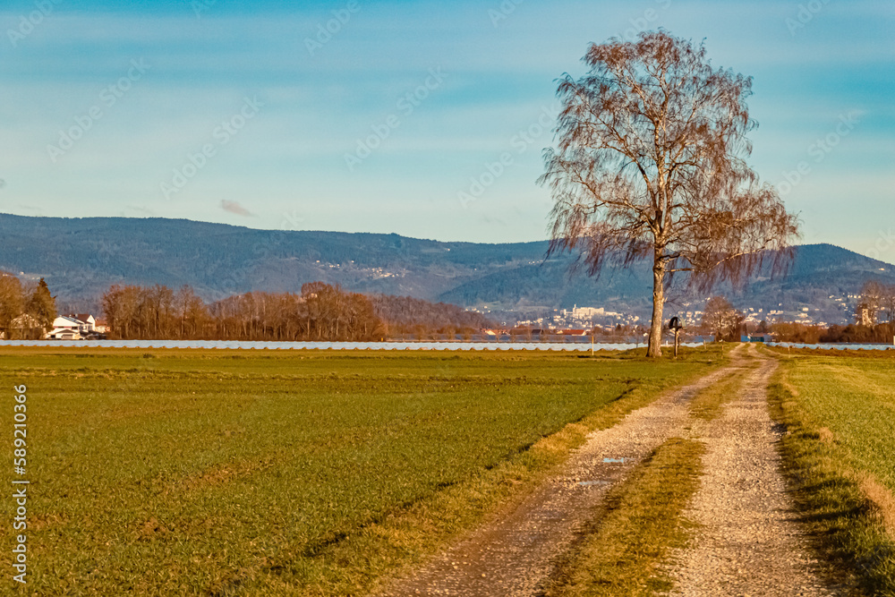 Winter landscape on a sunny day at Michaelsbuch, Bavaria, Germany