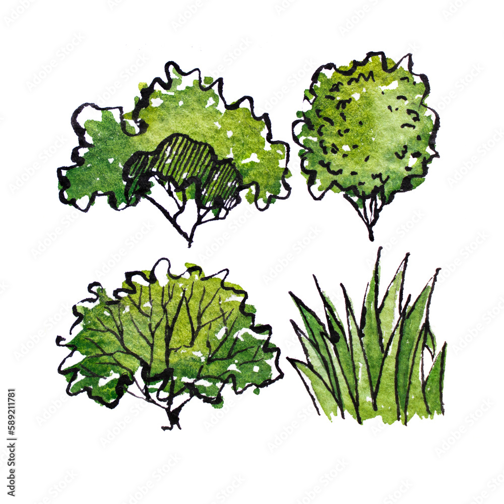 Collection plant shrub symbols of Landscape architect for decorate