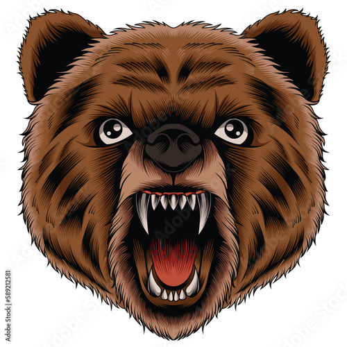 bear head vector illustration