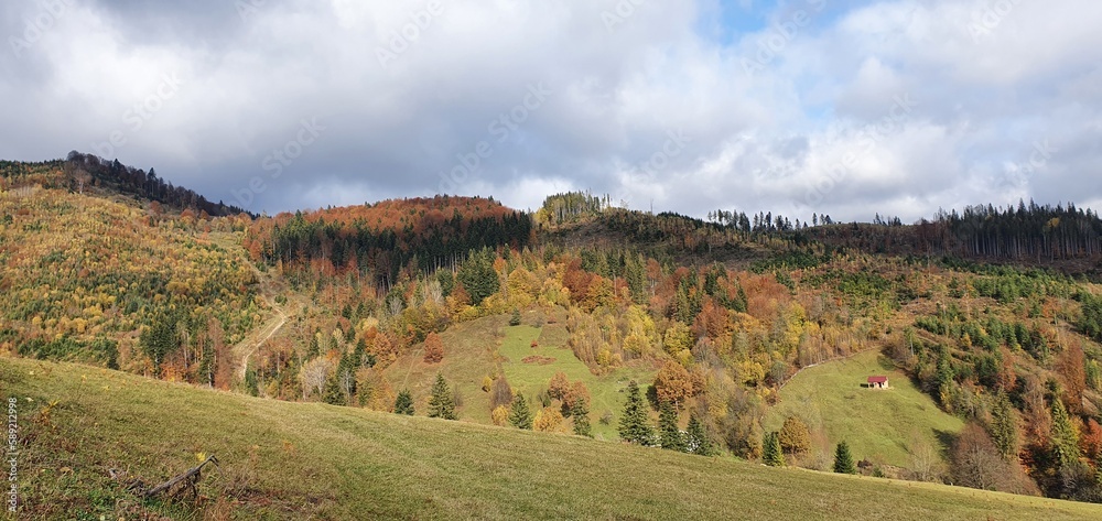 Autumn rural landscape in the mountains