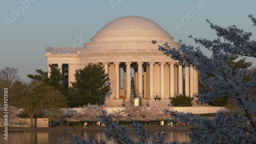 Cherry blossom festival at the Thomas Jefferson Memorial at sunset, Washington, DC photo