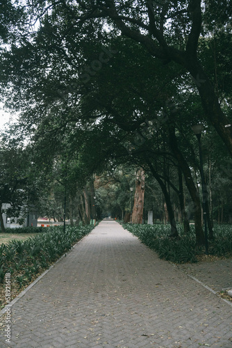 Travel Photography at Mexico