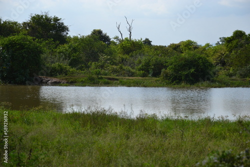 Wasgamuwa National Park Safari