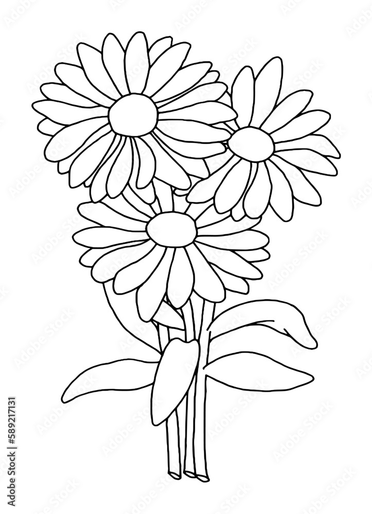 Hand drawn of daisy on white background. Flower outline style. Vintage vector illustration.