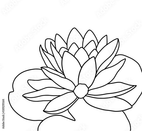 Hand drawn of lotus on white background. Flower outline style. Vintage vector illustration.