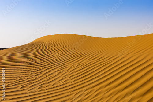 Golden Sand Dune Desert Landscape. Beautiful view of sand dunes in the Al Qudra Desert, Dubai, UAE. © Sudarsan Thobias