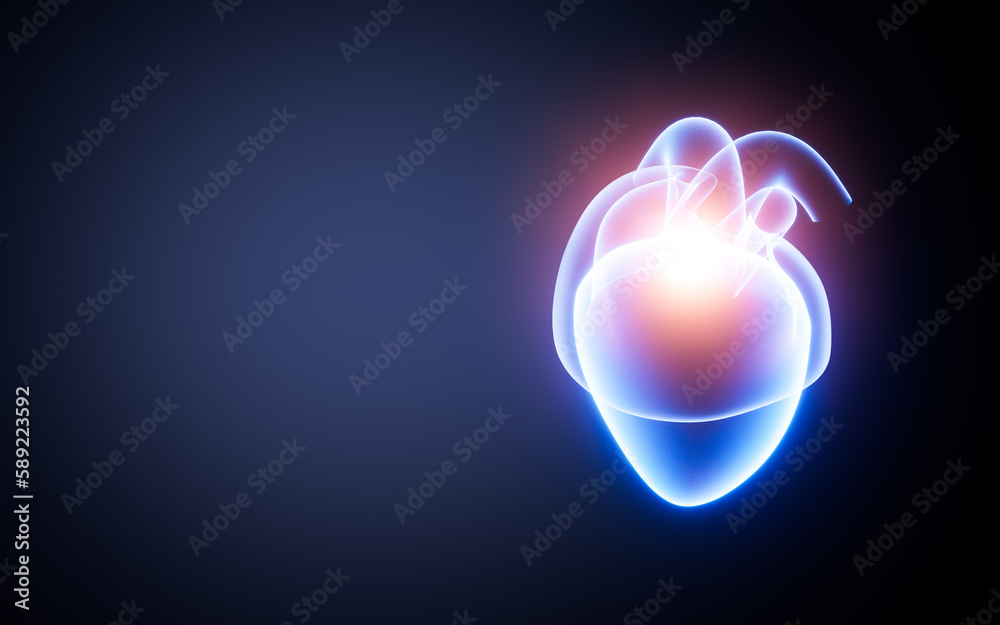Obraz premium Heart model in the white background, 3d rendering.