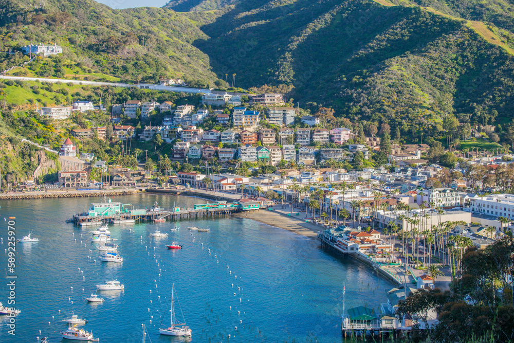 view of the city in Catalina Island