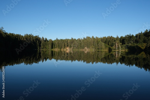 Fototapeta Naklejka Na Ścianę i Meble -  Mirror surface of a calm lake in a forest