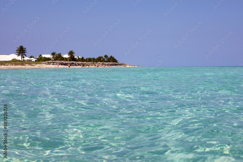 View from water surface to tropical beach and coconut palm trees. Sea resort on Caribbean island with transparent water