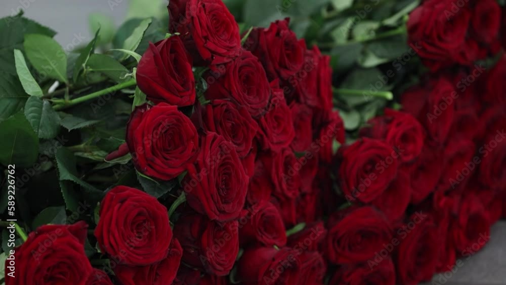 Dark red roses beautiful bouquet Dark red roses beautiful bouquet