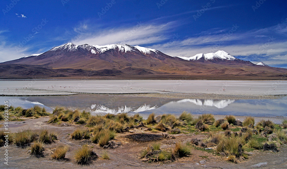 Andean landscape Hedionda lake, Bolivia
