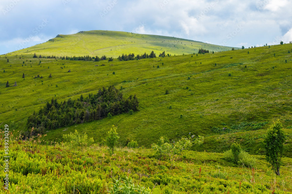 carpathian countryside with grassy meadows. mountain landscape in summertime