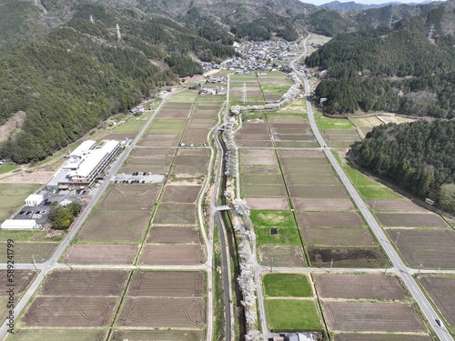 岐阜県岐阜市　彦坂の綺麗な桜並木 photo