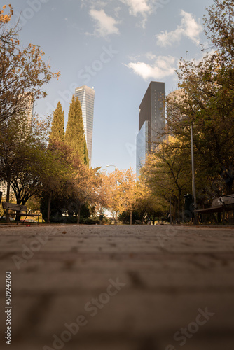 autumn in the city