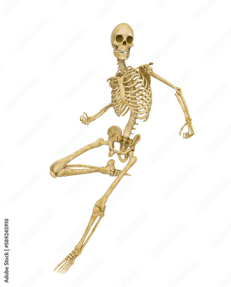skeleton is running for some action skeleton is running for some action