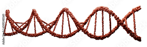 DNA Deoxyribonucleic acid, red structure of double helix molecule, Polynucleotide chains, atoms, strands of human genetic structure 3D model illustration
 photo