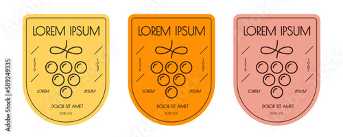 Vine bottle label set grape line style color isolated on white background vector 10 eps